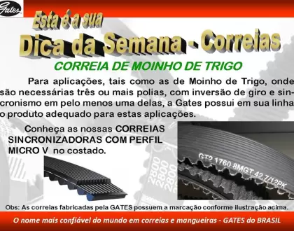 Correia de Moinho de Trigo