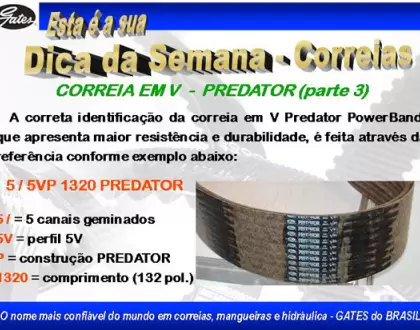 Identificação Correias Gates Predator