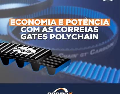 5 motivos para escolher a Correia Gates Polychain