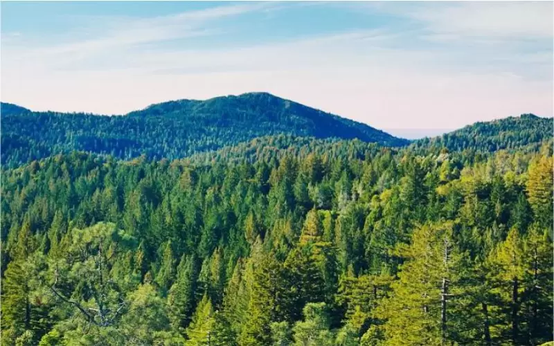 Mangueiras Industriais e a Preservação ambiental