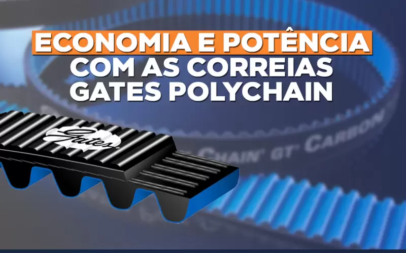 5 motivos para escolher a Correia Gates Polychain