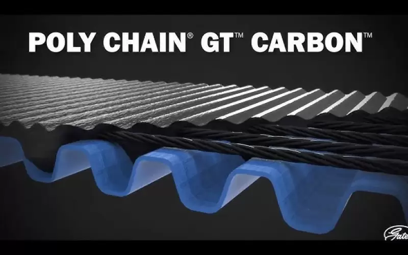 Você sabe qual o papel do carbono nas Correias Gates Poly Chain GT Carbon? 