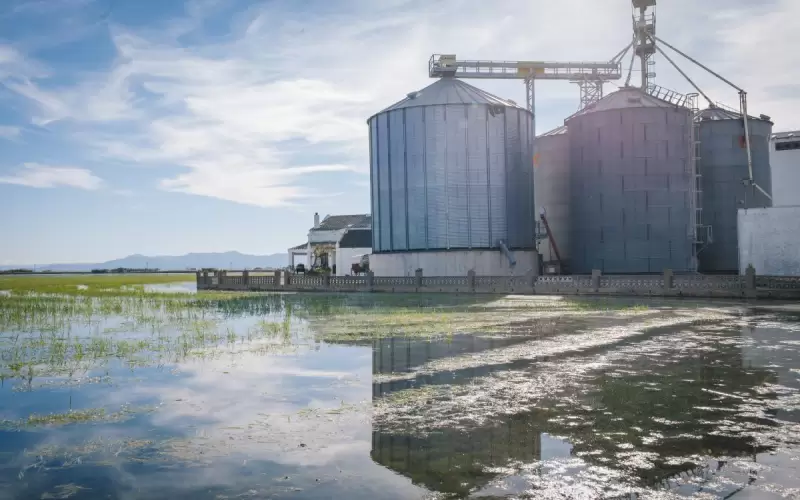 O que o fatídico acidente nos silos do Paraná tem a nos ensinar?